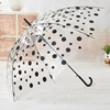 South Korea's portable transparent umbrella creative wave dot dot long -handle long -handle umbrella plastic stall advertising umbrella manufacturer direct sales customization