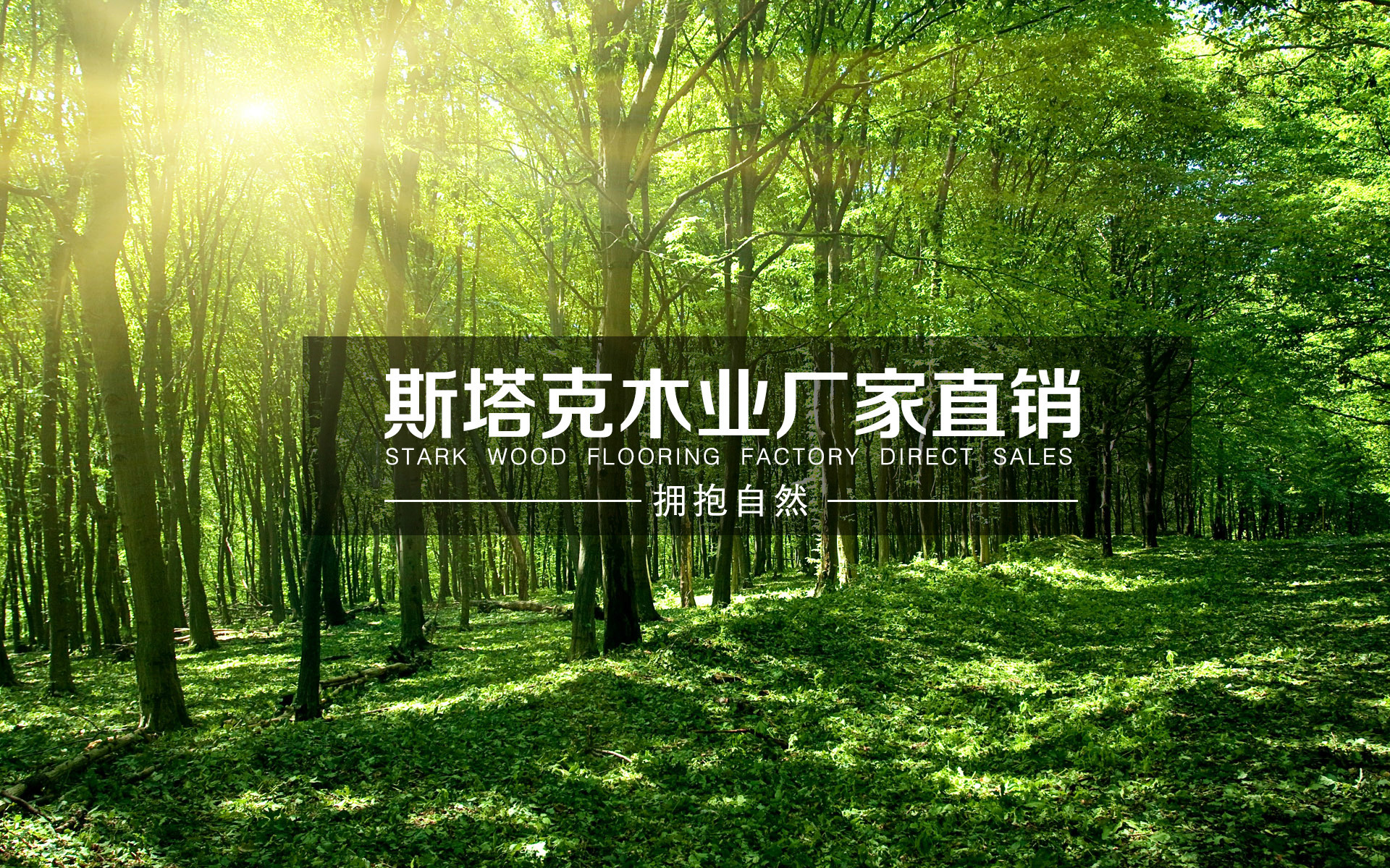 EJWD53V2Y771_forests16(1)