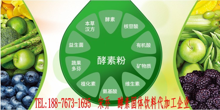 酵素固体饮料_conew1