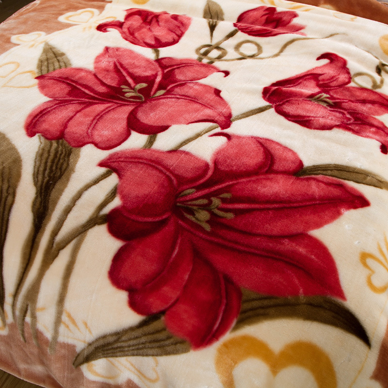 ？？辨？？？？惧？？ (3)