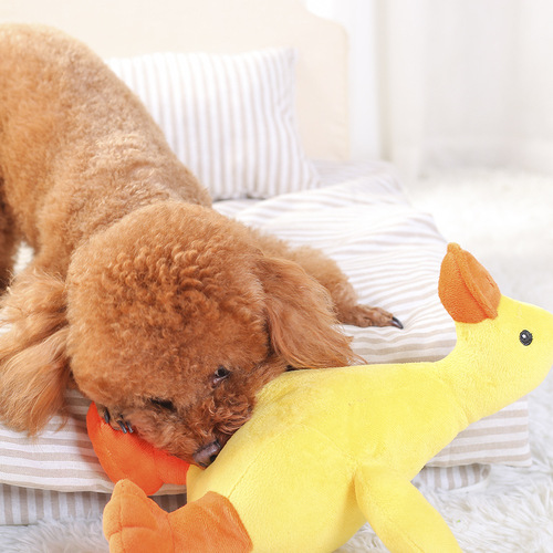 Dog plush toy pet sounding toy Huayuan pet supplies wholesale factory direct sales new pet toys