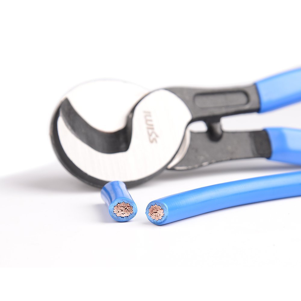 51PxBvrN9YL._SL1000_