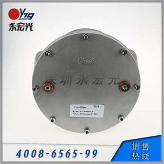 YORK燃气专用过滤器FG4050系列 耐压4bar 口径DN50