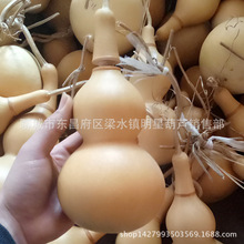 ���J �д���肿ھƺ��J ������J �_�ھƺ��J�� �a��ֱ��E18