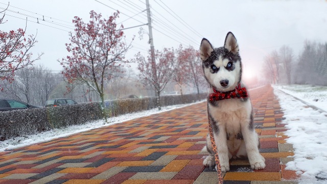 UTB8u1GFpFfFXKJk43Otq6xIPFXaN