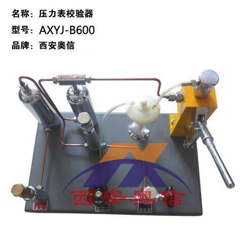 压力表 氧气表两用压力校验器AXYJ-B600