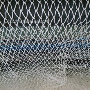 ���a�S�ҹ������B��ȫ�����W4*6m ���o�W ؛���r�W