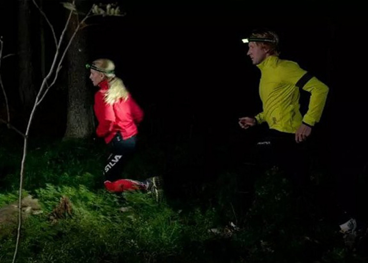 ҹ������