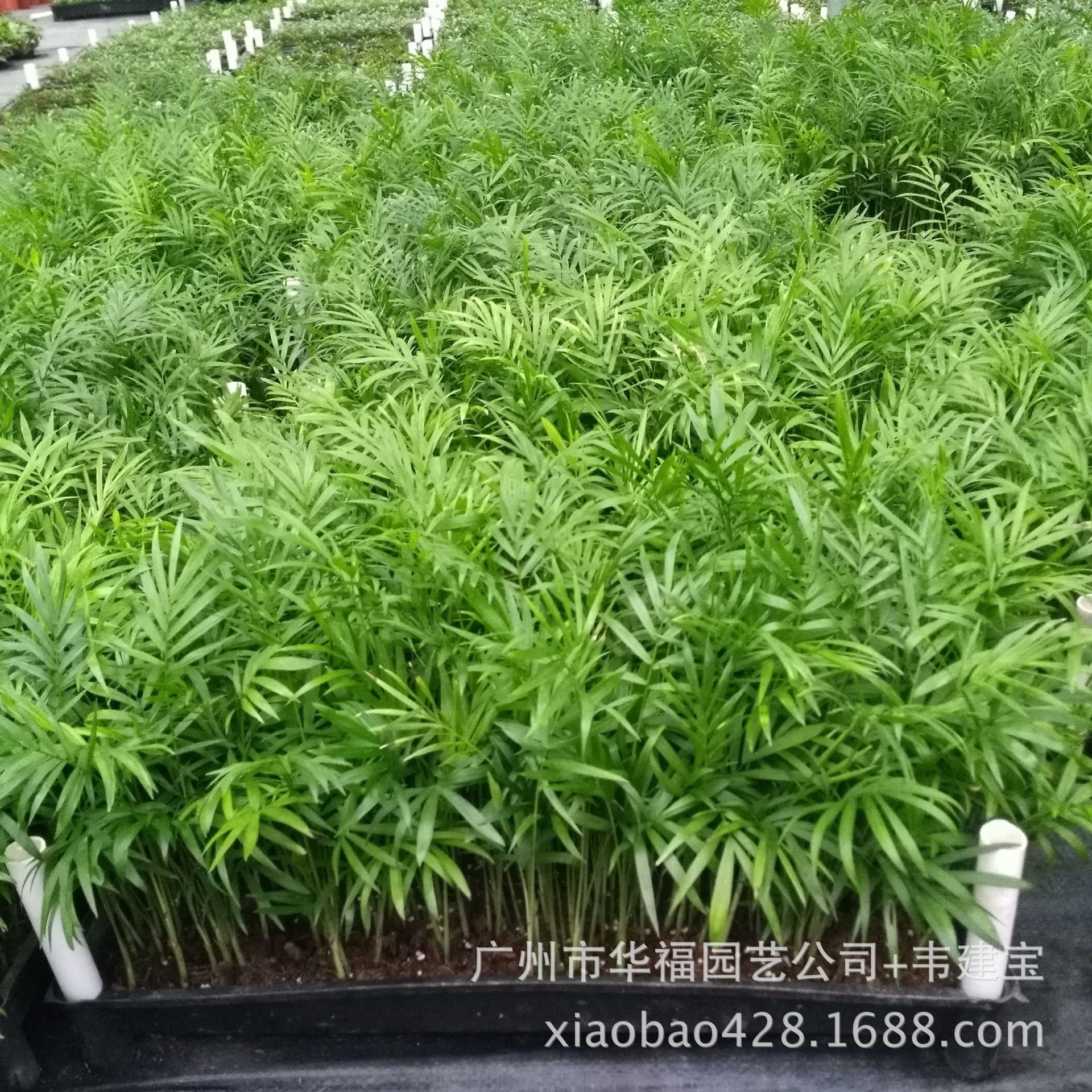 i2mSj/ukz9QsY8Ty6eybZX164nfQ8dDDiL/x