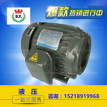 台灣群策電機 5HP-4P 3.75KW 液壓內軸直插卧式專用電機 C05-43B0