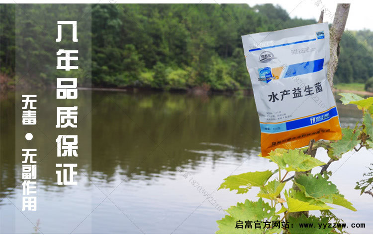 鸡粪肥水发酵剂