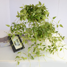 �F��ɏ ����ֲ�� �F��ާ  �Ꭷ����ֲ�� ֲ���� �Ҿ������b�