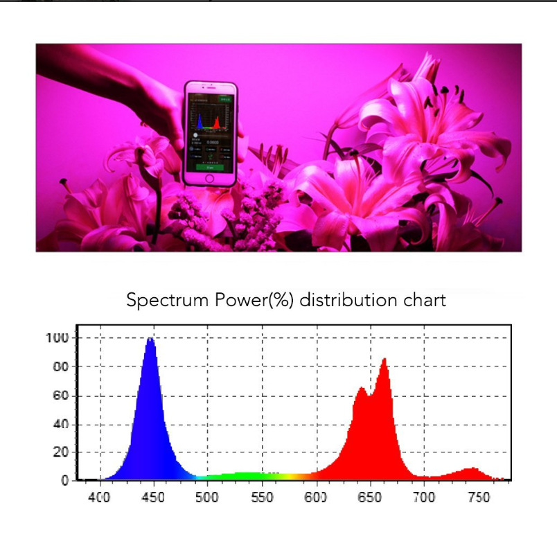 Спектр. Спектр светимость. Bloom HPS Lamp 1000w.