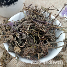 筋骨草 白毛夏枯草 青鱼胆草 苦地胆 制香料专用  代客加工细粉