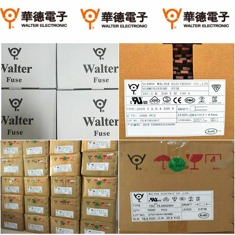 WALTER华德保险丝BGT3A125V/250V玻璃管慢断4.6x16