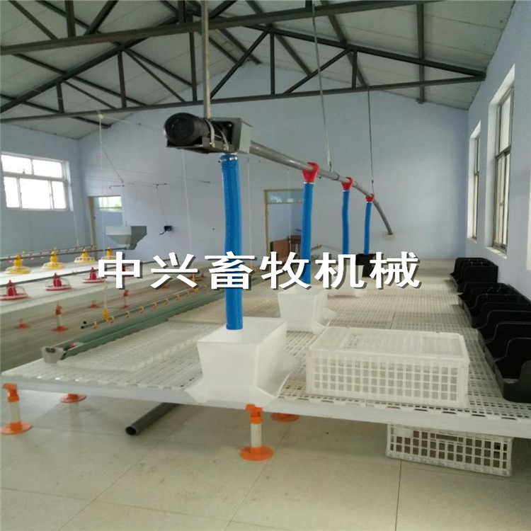 肉鸡周转筐   成鸡周转箱育雏鸡周转箱成鸡运输笼	鸡鸭专用运输笼