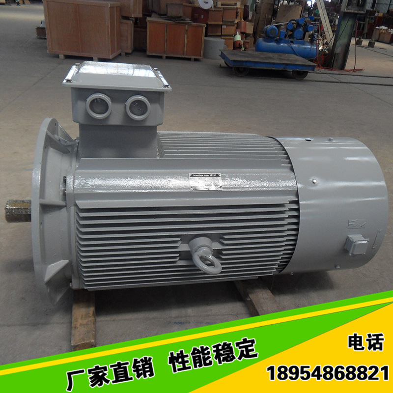 永磁发电机 (14)