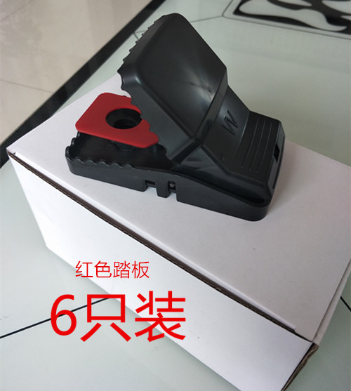 IMG20170802084422_副本_副本