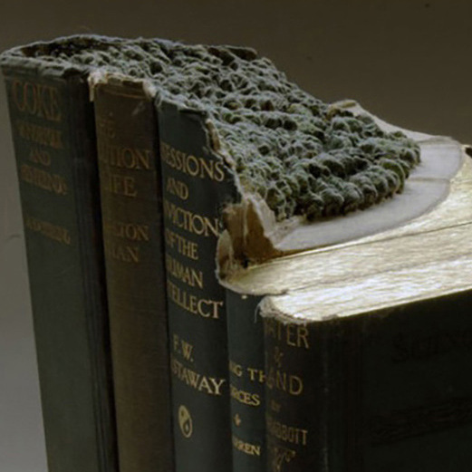 ���ⴴ������չ��װ������װ�ι�����Ʒ�鱾�ڼ���Ʒ����