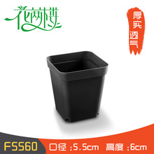 ���l��С�����⻨�����ֲ�ﻨ��С���趨ֲ����С�ڷ����ش���