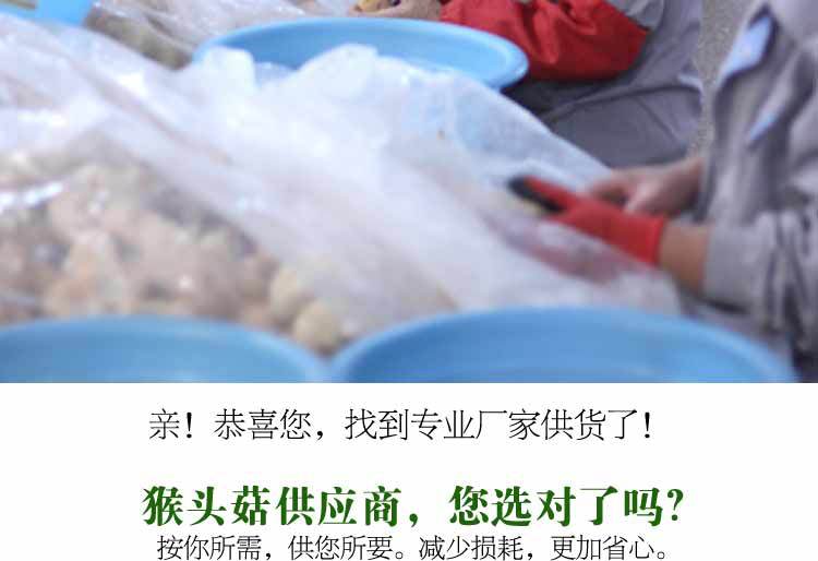 猴头菇-详情图al_03