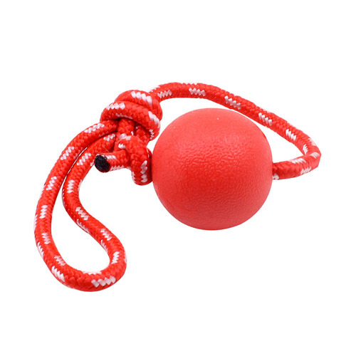 Dog Training Bite Resistant Ball Solid Pet Bouncy Ball Rope Portable Solid Ball Pet Toy
