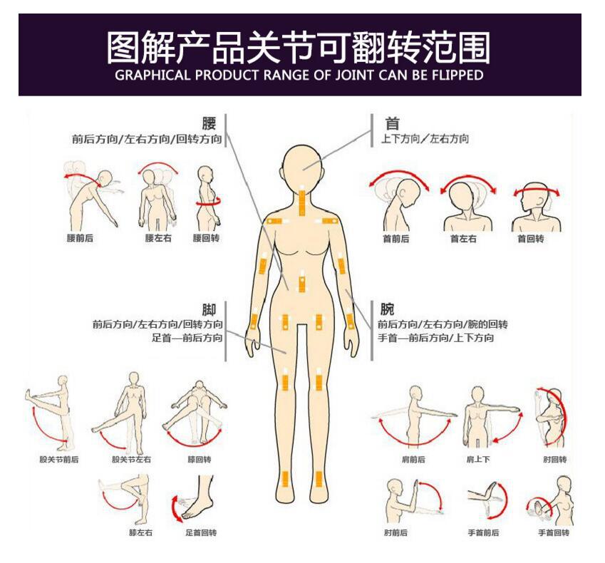 QQ鍥剧墖20171108202532
