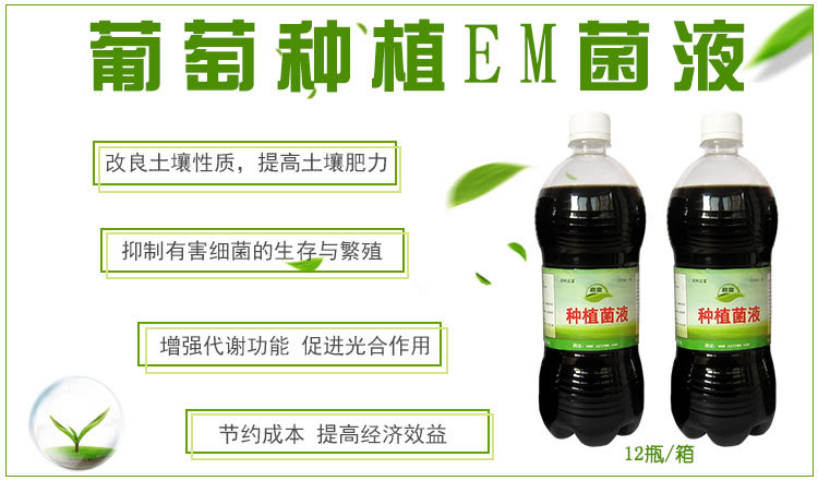 葡萄种植em菌液