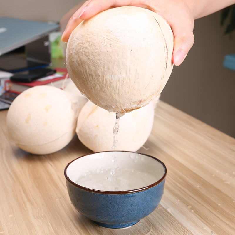 新鮮海南光椰子 去皮椰子 海南椰子批發 老椰子 壹件代發