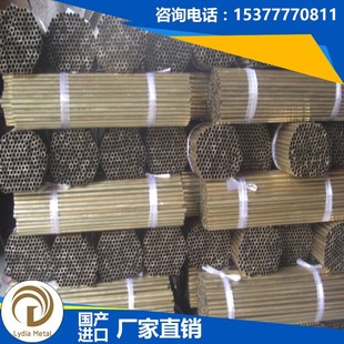 ���l����C6872�M�ڃ��|�X�S�~ C6872�~�� C6872�~�� C6872�~�Ͻ�