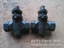 zy X13W-10 DN25 SֱN |r