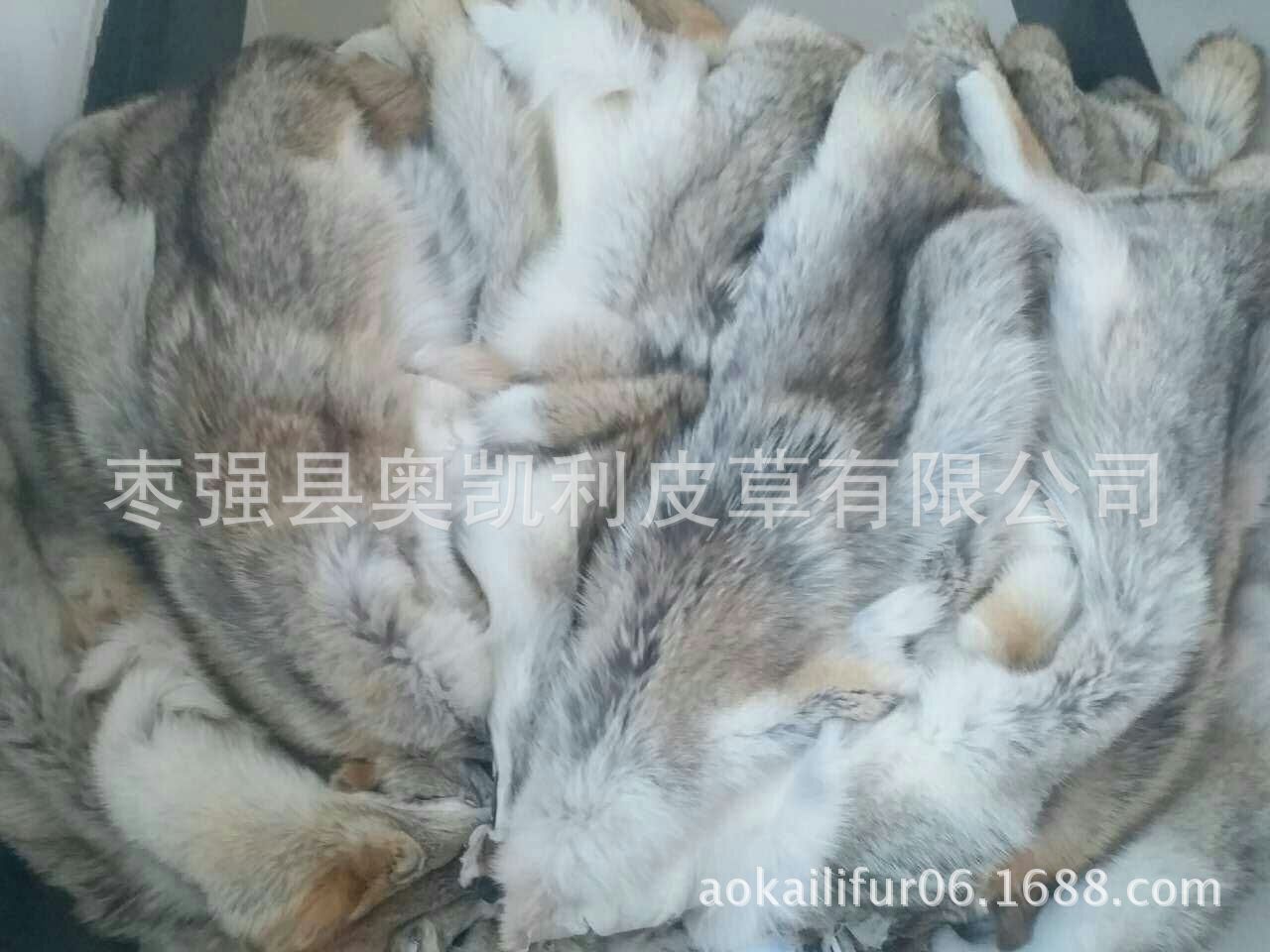 狼毛领mmexport1492910252566