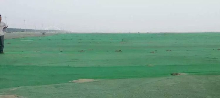 3771046579_1341334152