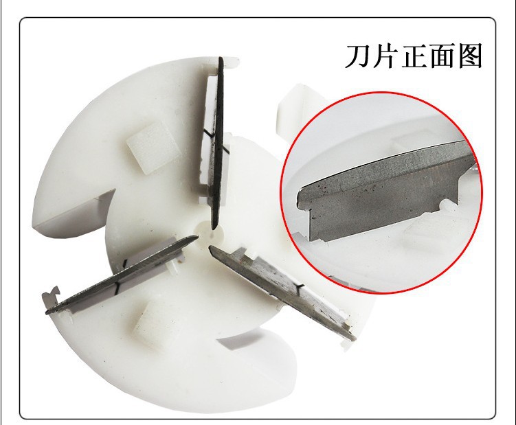 2981652081_169837725