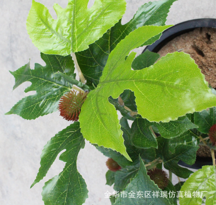 XRB-166构叶五叉枝立体4