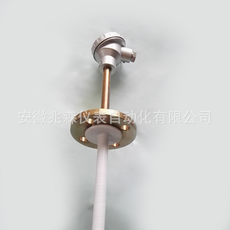 热电阻 烧结四氟热电阻WZPF-430 化工专用四氟热电阻