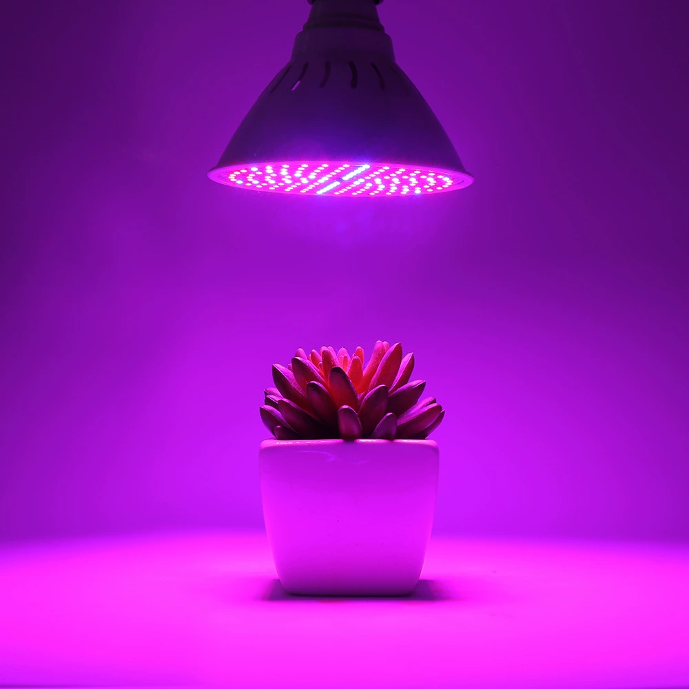 LED розетка, лампа для растений, заполняющее освещение, прямая продажа с завода