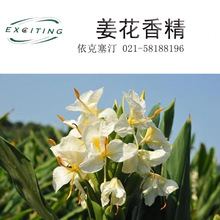 ������͡ �S�����lֱ�N  �ջ����ý����㾫