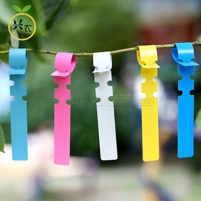 彩色园艺标签/PVC环套标签/苗木标签/花卉标签【七色】|ru