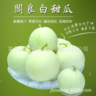 阎良甜瓜5斤装现摘现发 香瓜新鲜应季水果 一件代发|ms