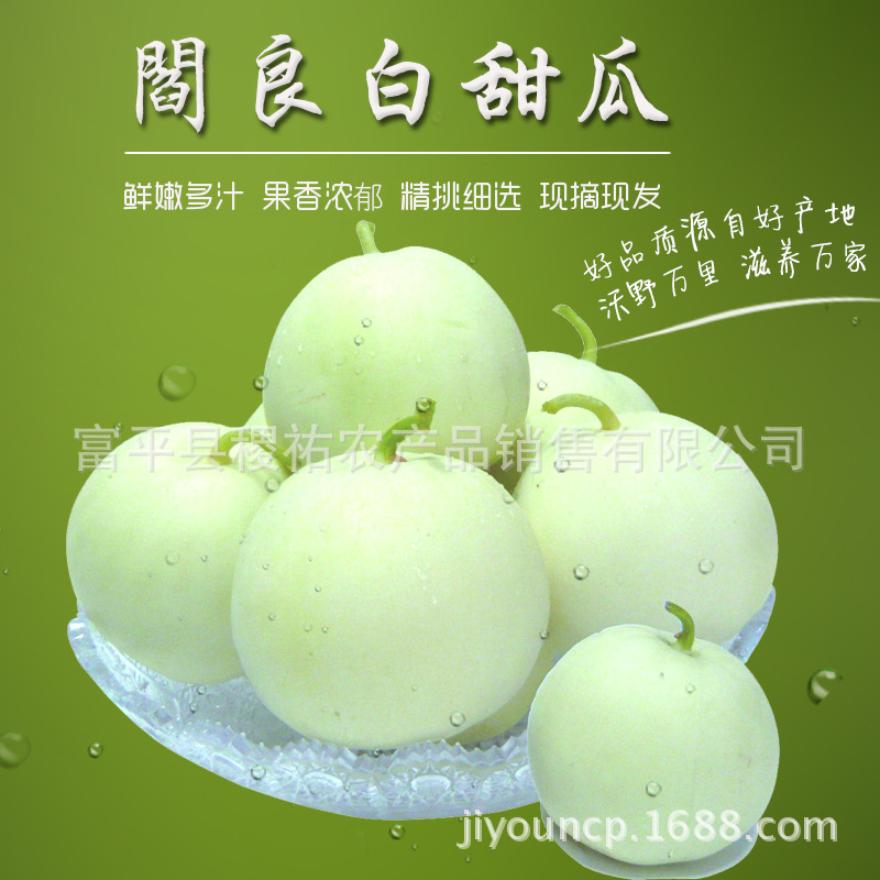 阎良甜瓜5斤装现摘现发 香瓜新鲜应季水果 一件代发|ms