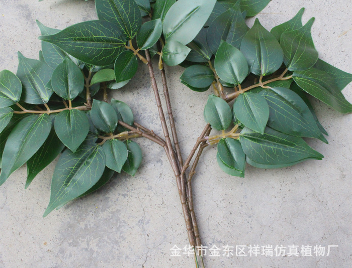 XRB-168涓冨瓙鑺卞彾涓夊弶鏋??