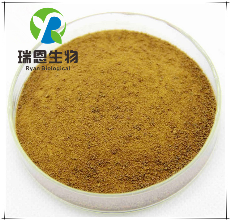 川牛膝提取物植物萃取20:1川牛膝粉现货直供欢迎订购