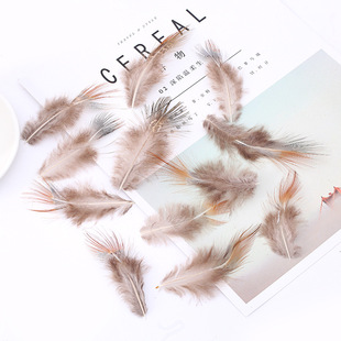 Ұɽ�u��ëdiy��������ë��q��ˇƷ���b�����Ʒ�b����l����