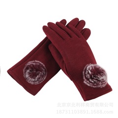 2017新款秋冬女觸摸屏手套時尚羊絨不倒絨保暖加絨防寒騎行手套廠