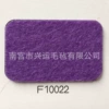 F10022