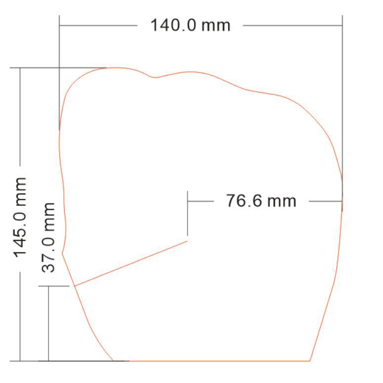 145*140mm双面硅油透明PET保护膜内衣硅胶隐形文胸乳贴离型膜
