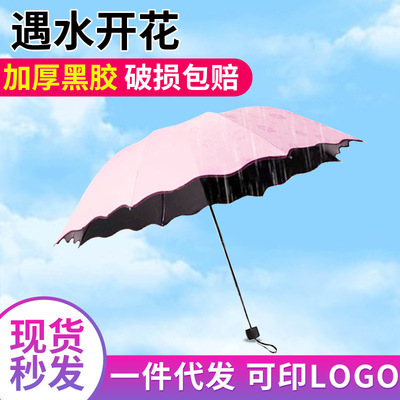 韩国创意遇水开花伞黑胶折叠晴雨伞 防紫外线遮阳伞折叠太阳伞|ms