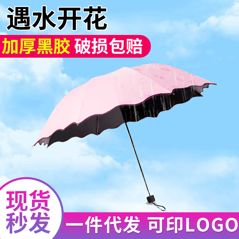 韩国创意遇水开花伞黑胶折叠晴雨伞 防紫外线遮阳伞折叠太阳伞|ms