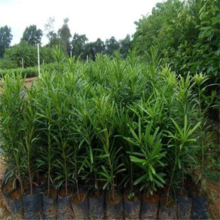 ���ع��������_�h��������С����NҎ�����󃞻�